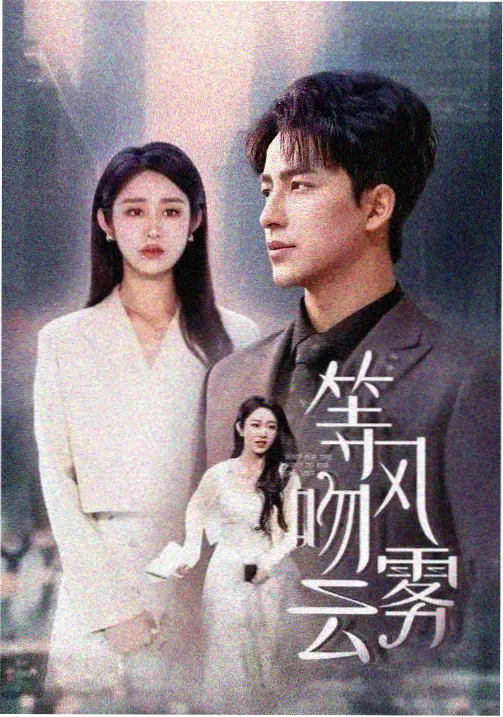 无声证词 犯罪剧集在线观看